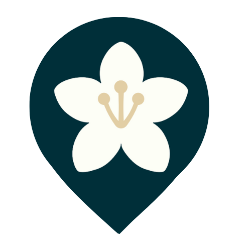 Map Pin